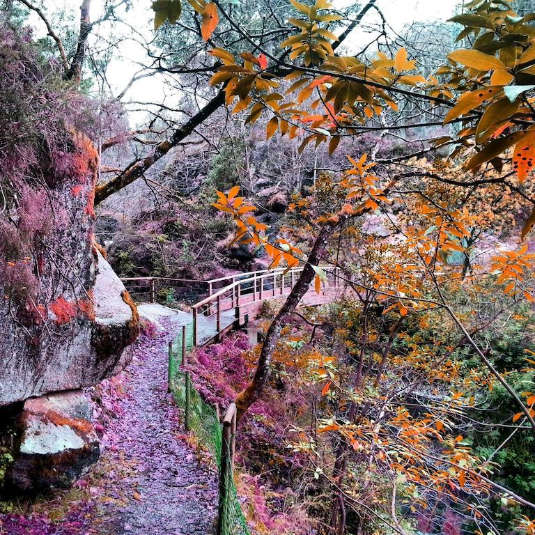 Finca El Remanso Affittacamere Mondoñedo Esterno foto