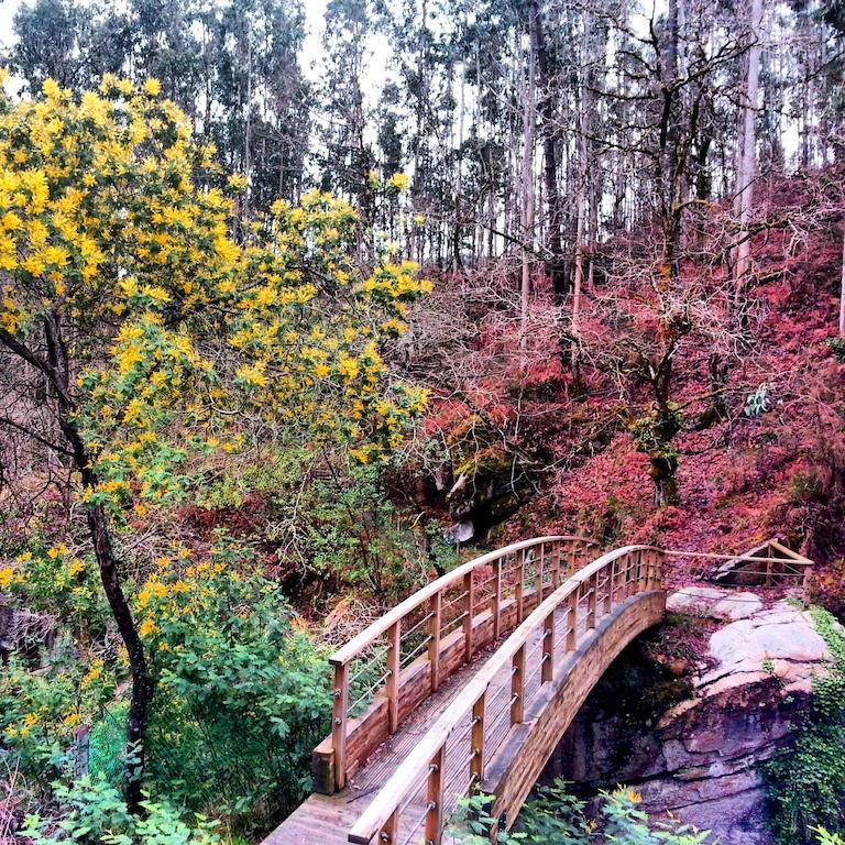 Finca El Remanso Affittacamere Mondoñedo Esterno foto