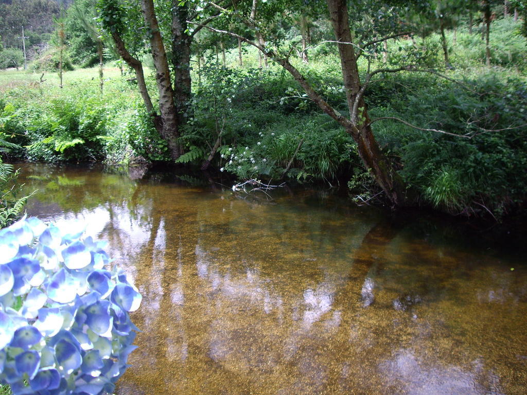 Finca El Remanso Affittacamere Mondoñedo Esterno foto
