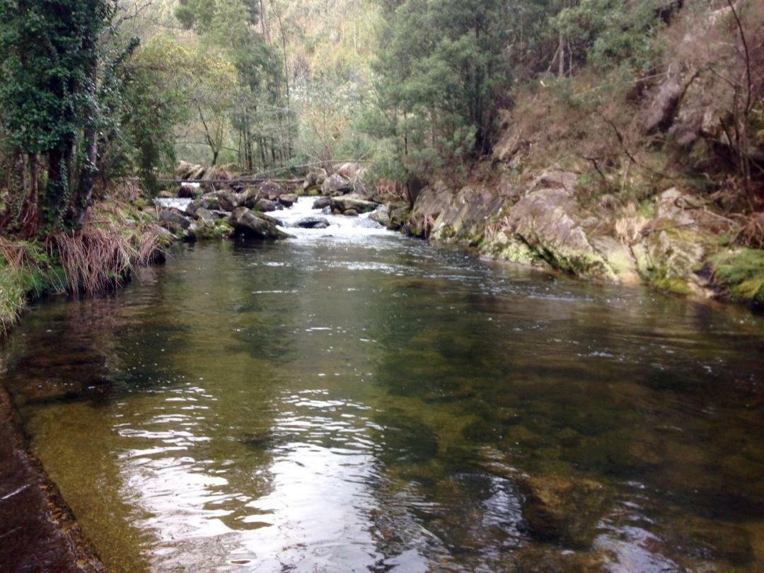 Finca El Remanso Affittacamere Mondoñedo Esterno foto