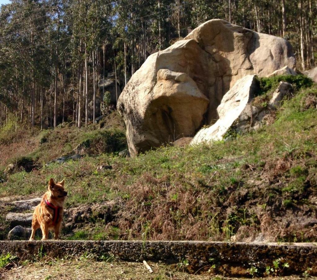 Finca El Remanso Affittacamere Mondoñedo Esterno foto